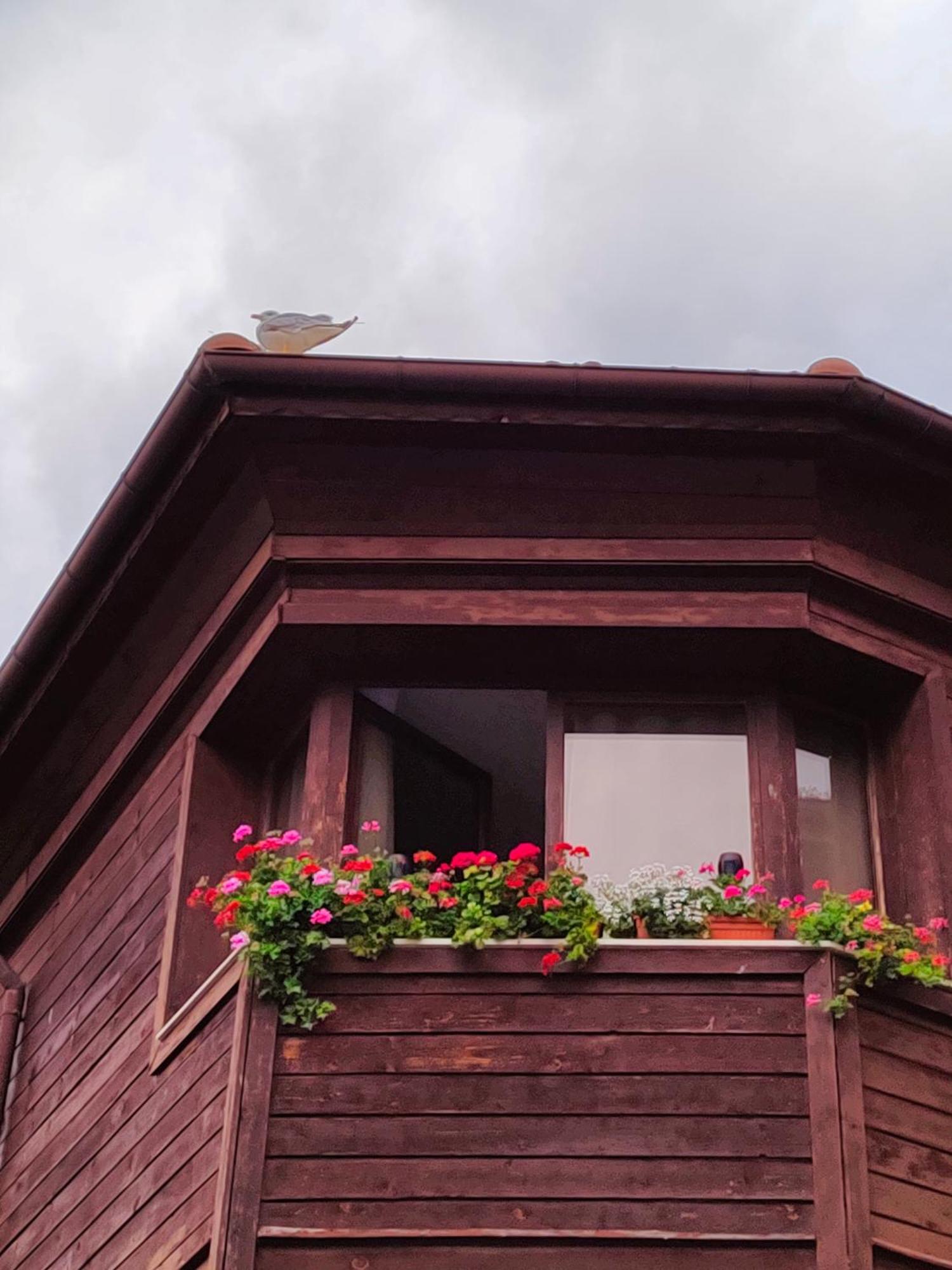 Guest Rooms Melsambria Nesebar Eksteriør bilde